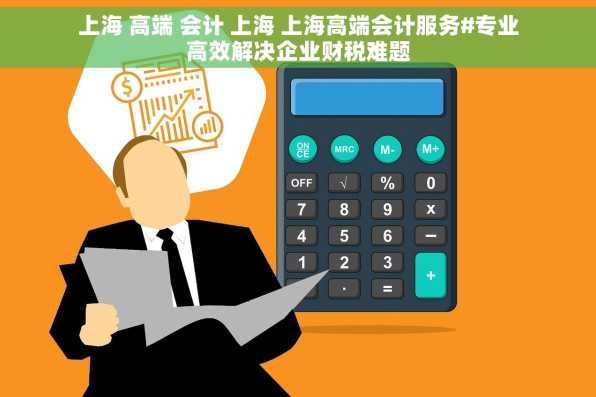上海 高端 会计 上海 上海高端会计服务#专业高效解决企业财税难题