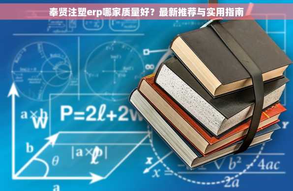 奉贤注塑erp哪家质量好？最新推荐与实用指南