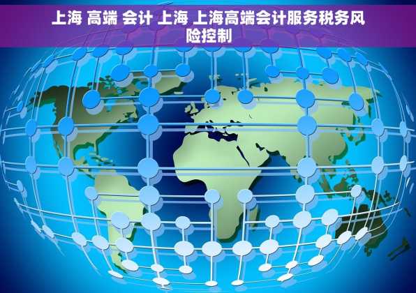 上海 高端 会计 上海 上海高端会计服务税务风险控制