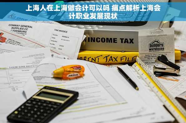 上海人在上海做会计可以吗 痛点解析上海会计职业发展现状
