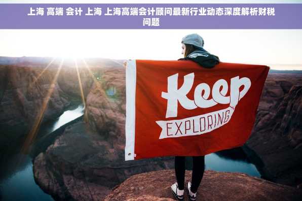 上海 高端 会计 上海 上海高端会计顾问最新行业动态深度解析财税问题