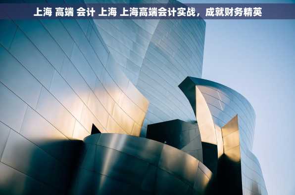 上海 高端 会计 上海 上海高端会计实战，成就财务精英