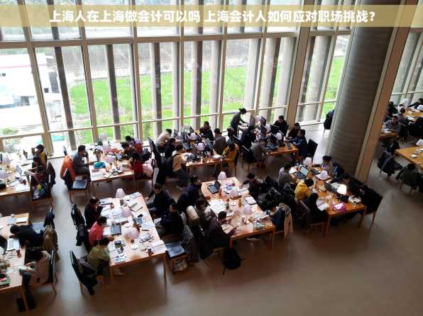 上海人在上海做会计可以吗 上海会计人如何应对职场挑战？