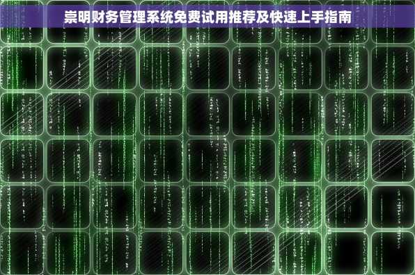 崇明财务管理系统免费试用推荐及快速上手指南