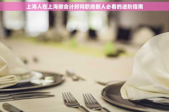 上海人在上海做会计好吗职场新人必看的进阶指南
