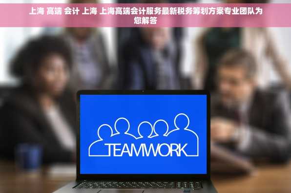 上海 高端 会计 上海 上海高端会计服务最新税务筹划方案专业团队为您解答