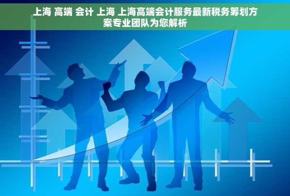 上海 高端 会计 上海 上海高端会计服务最新税务筹划方案专业团队为您解析