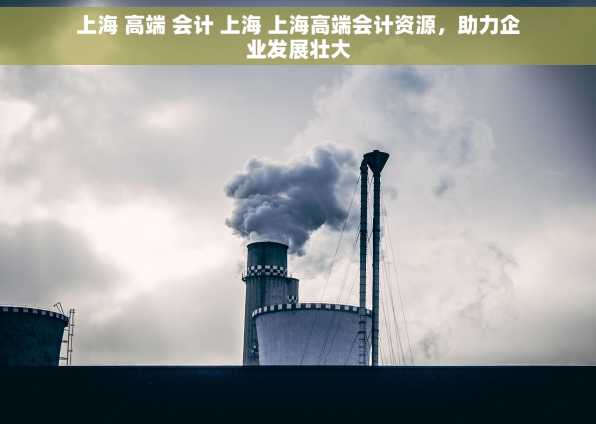 上海 高端 会计 上海 上海高端会计资源，助力企业发展壮大
