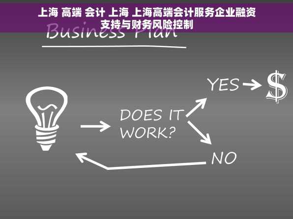 上海 高端 会计 上海 上海高端会计服务企业融资支持与财务风险控制