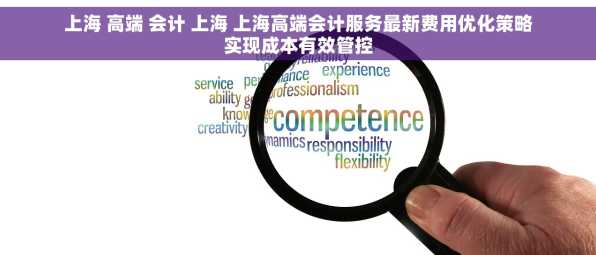 上海 高端 会计 上海 上海高端会计服务最新费用优化策略实现成本有效管控