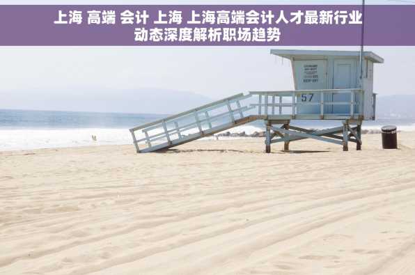 上海 高端 会计 上海 上海高端会计人才最新行业动态深度解析职场趋势