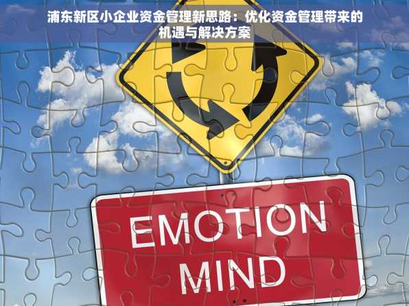 浦东新区小企业资金管理新思路：优化资金管理带来的机遇与解决方案