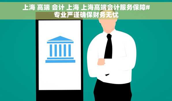 上海 高端 会计 上海 上海高端会计服务保障#专业严谨确保财务无忧