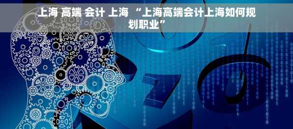 上海 高端 会计 上海 “上海高端会计上海如何规划职业”