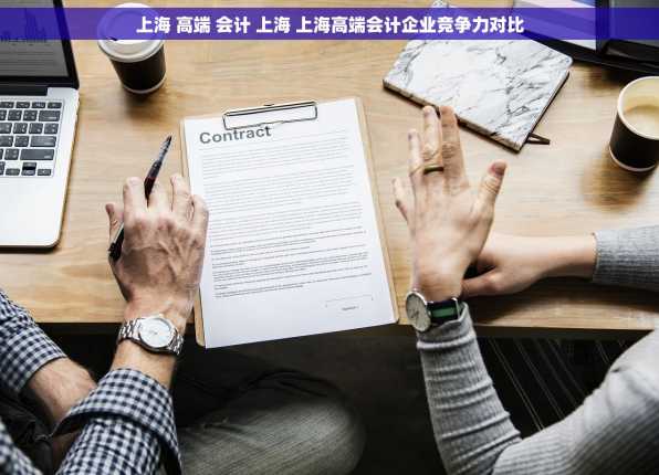上海 高端 会计 上海 上海高端会计企业竞争力对比