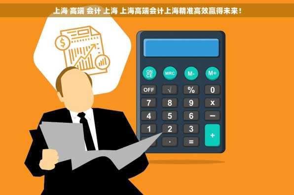 上海 高端 会计 上海 上海高端会计上海精准高效赢得未来！