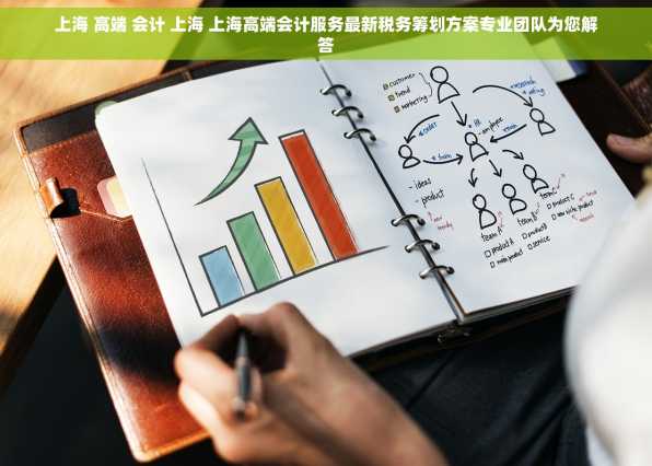 上海 高端 会计 上海 上海高端会计服务最新税务筹划方案专业团队为您解答