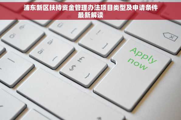浦东新区扶持资金管理办法项目类型及申请条件最新解读