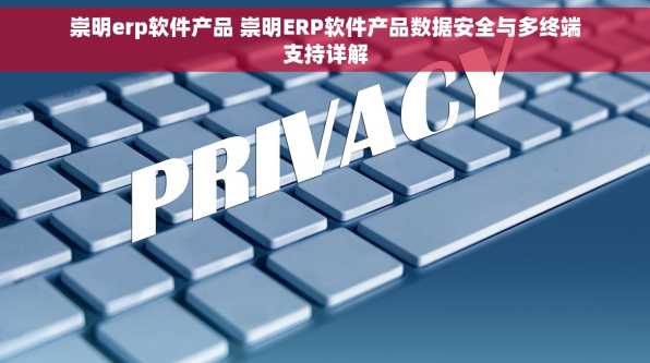 崇明erp软件产品 崇明ERP软件产品数据安全与多终端支持详解
