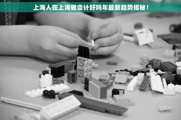 上海人在上海做会计好吗年最新趋势揭秘！