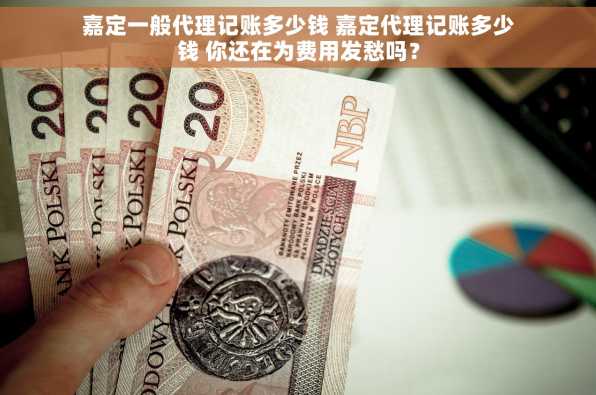 嘉定一般代理记账多少钱 嘉定代理记账多少钱 你还在为费用发愁吗？