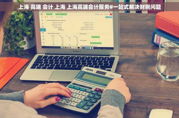 上海 高端 会计 上海 上海高端会计服务#一站式解决财税问题