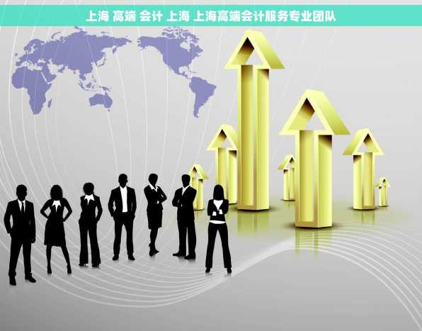上海 高端 会计 上海 上海高端会计服务专业团队