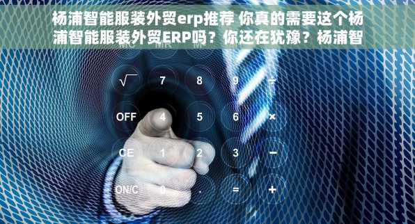 杨浦智能服装外贸erp推荐 你真的需要这个杨浦智能服装外贸ERP吗？你还在犹豫？杨浦智能服装外贸ERP推荐来了