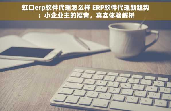 虹口erp软件代理怎么样 ERP软件代理新趋势：小企业主的福音，真实体验解析