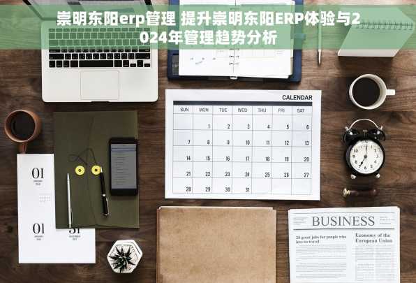 崇明东阳erp管理 提升崇明东阳ERP体验与2024年管理趋势分析