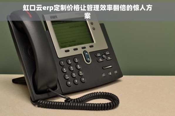 虹口云erp定制价格让管理效率翻倍的惊人方案