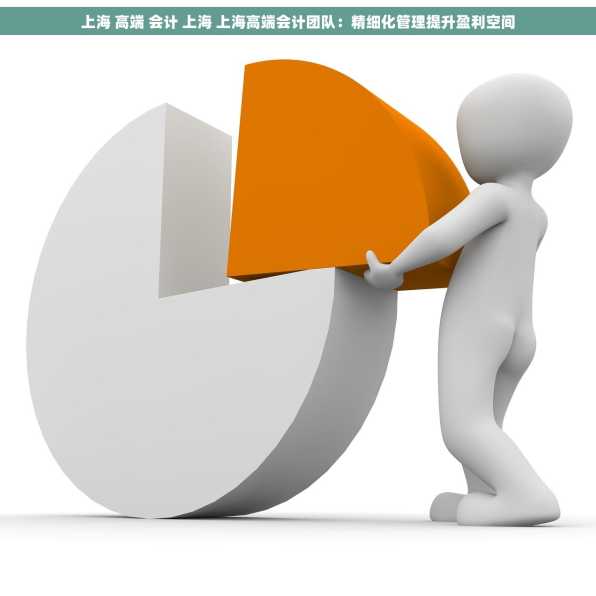 上海 高端 会计 上海 上海高端会计团队：精细化管理提升盈利空间