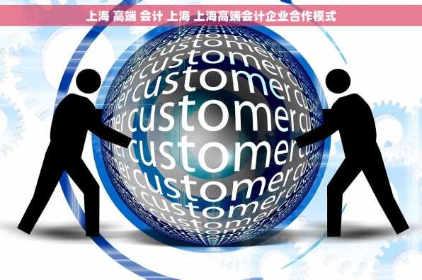 上海 高端 会计 上海 上海高端会计企业合作模式