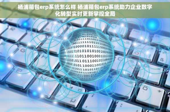 杨浦箱包erp系统怎么样 杨浦箱包erp系统助力企业数字化转型实时更新掌控全局