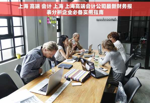 上海 高端 会计 上海 上海高端会计公司最新财务报表分析企业必备实用指南