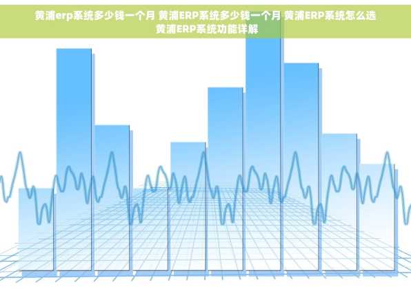 黄浦erp系统多少钱一个月 黄浦ERP系统多少钱一个月 黄浦ERP系统怎么选 黄浦ERP系统功能详解