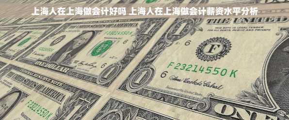 上海人在上海做会计好吗 上海人在上海做会计薪资水平分析