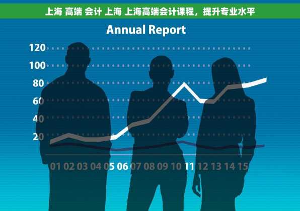 上海 高端 会计 上海 上海高端会计课程，提升专业水平