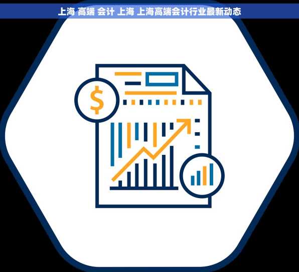 上海 高端 会计 上海 上海高端会计行业最新动态