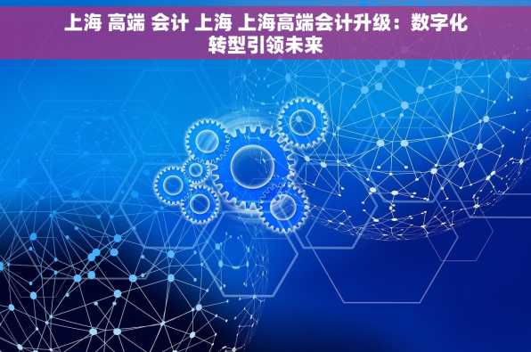 上海 高端 会计 上海 上海高端会计升级：数字化转型引领未来