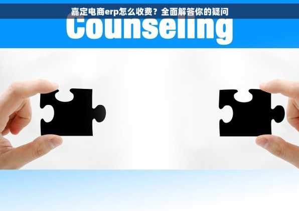 嘉定电商erp怎么收费？全面解答你的疑问