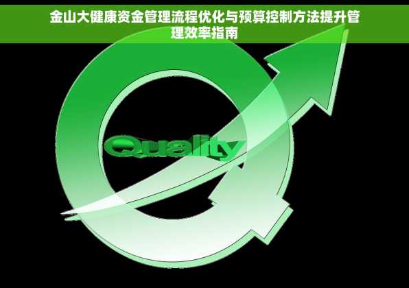金山大健康资金管理流程优化与预算控制方法提升管理效率指南