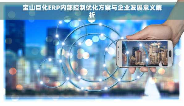 宝山巨化ERP内部控制优化方案与企业发展意义解析