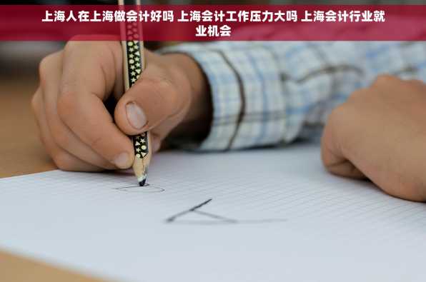 上海人在上海做会计好吗 上海会计工作压力大吗 上海会计行业就业机会