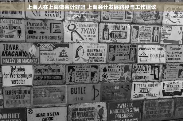上海人在上海做会计好吗 上海会计发展路径与工作建议
