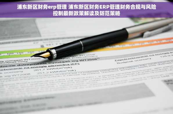 浦东新区财务erp管理 浦东新区财务ERP管理财务合规与风险控制最新政策解读及防范策略