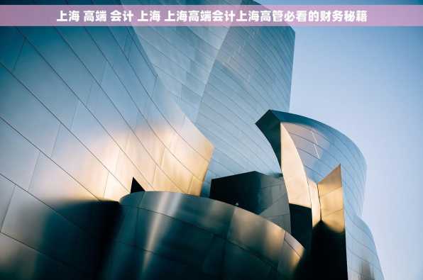 上海 高端 会计 上海 上海高端会计上海高管必看的财务秘籍