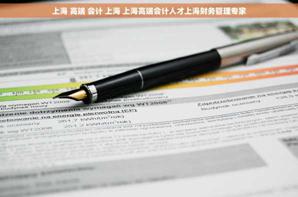 上海 高端 会计 上海 上海高端会计人才上海财务管理专家