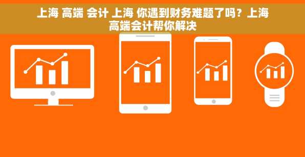 上海 高端 会计 上海 你遇到财务难题了吗？上海高端会计帮你解决