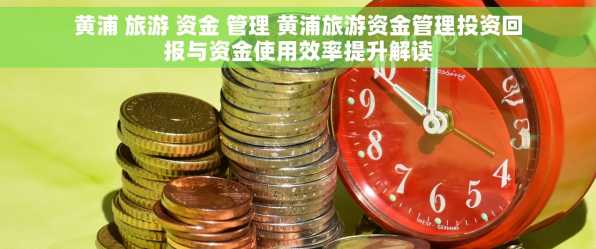黄浦 旅游 资金 管理 黄浦旅游资金管理投资回报与资金使用效率提升解读